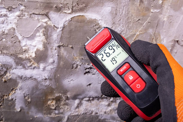 Reliable Sunnyside, CA Mold Removal Solutions