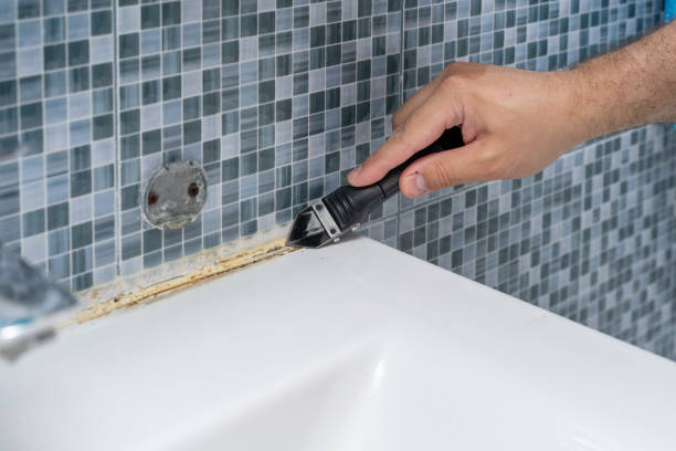 Best Black Mold Removal  in Sunnyside, CA