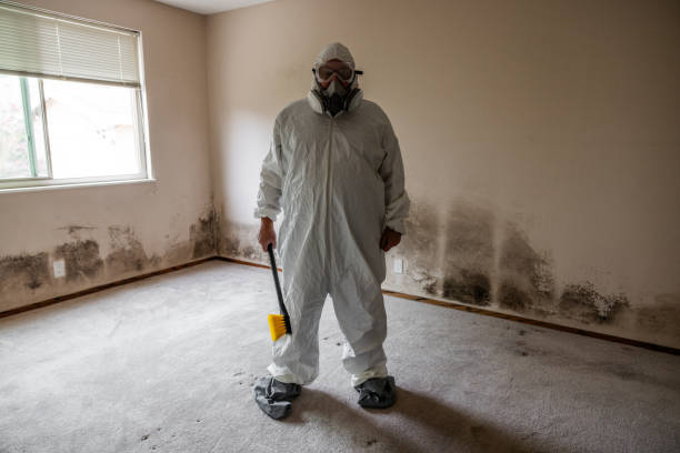 Best Commercial Mold Removal  in Sunnyside, CA